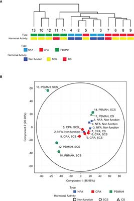 Heterogeneous circulating miRNA profiles of PBMAH